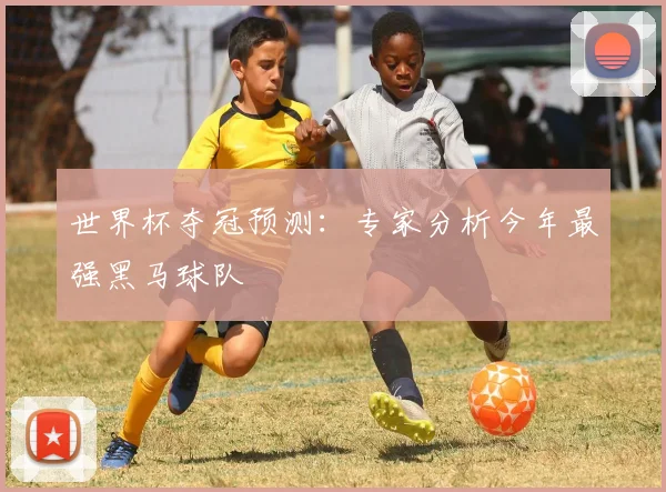 世界杯夺冠预测:专家分析今年最强黑马球队