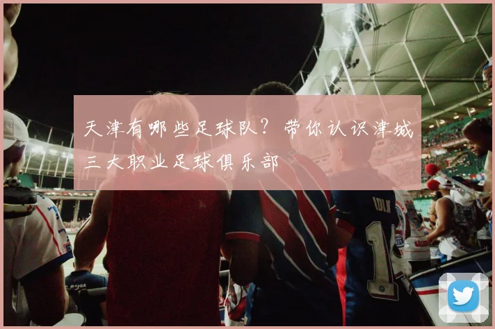 天津有哪些足球队?带你认识津城三大职业足球俱乐部