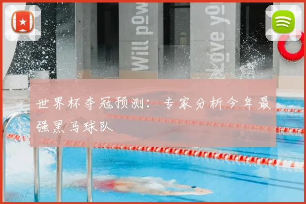 世界杯夺冠预测：专家分析今年最强黑马球队