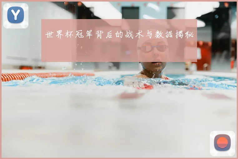 世界杯冠军背后的战术与数据揭秘